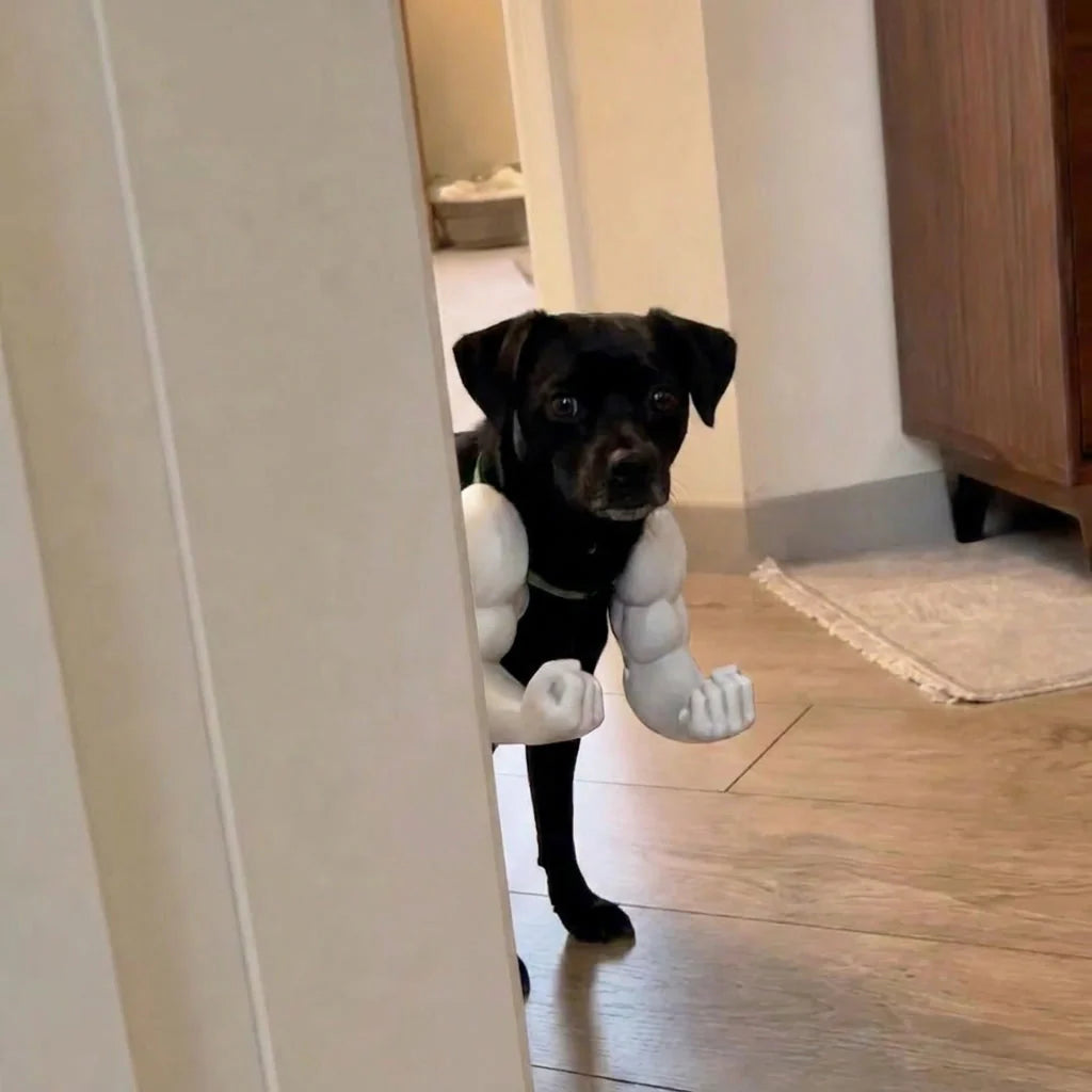 Buff Cat Arms