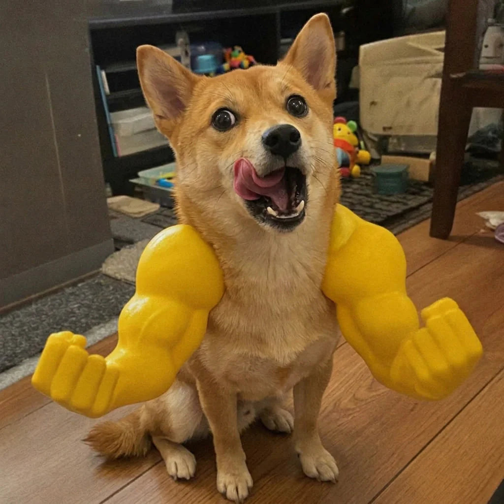 Buff Cat Arms