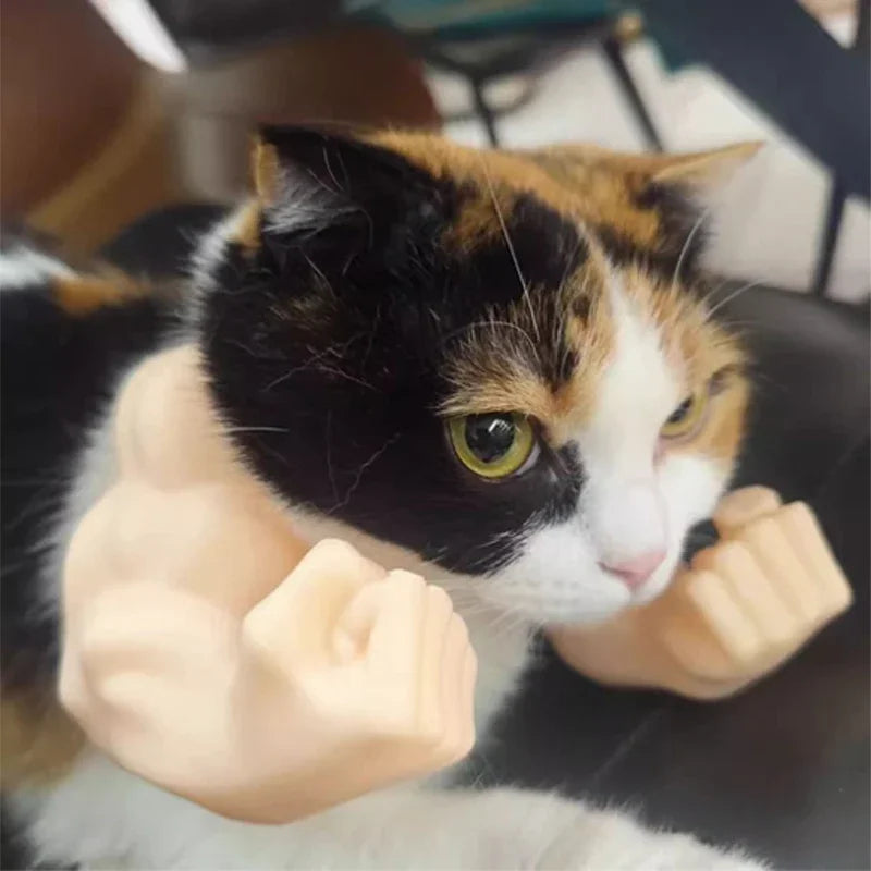 Buff Cat Arms